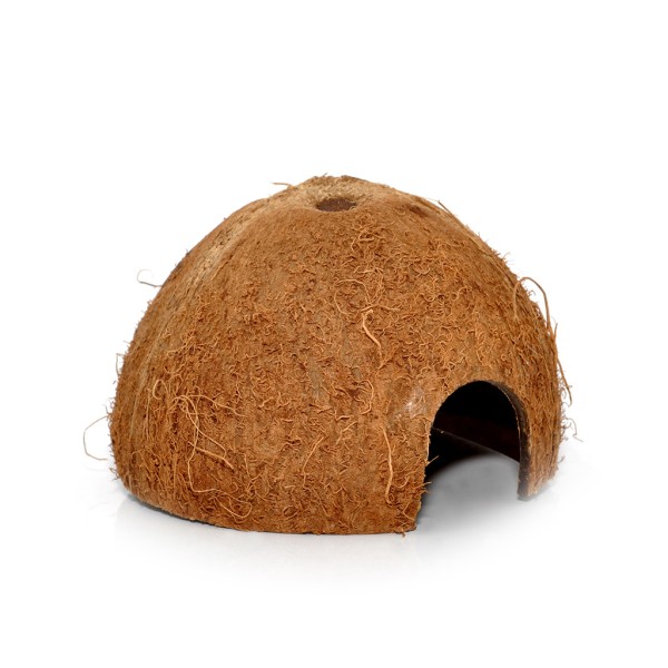 Coconut Cave - Kokosnusshöhle