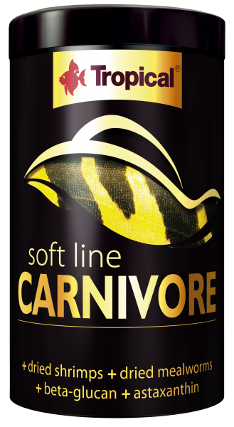 Soft Line Carnivore