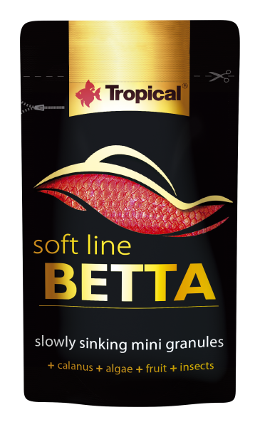 Soft Line Betta
