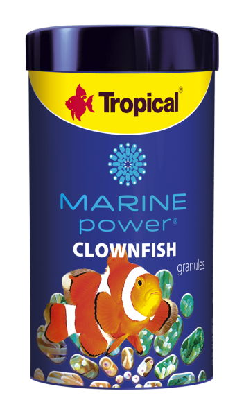 Marine Power Clownfish