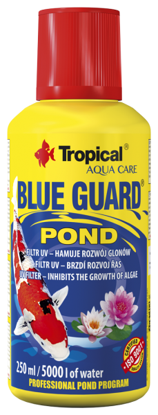 Blue Guard Pond