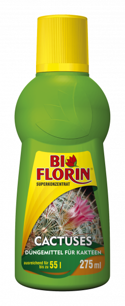 Bi Florin CACTUSES