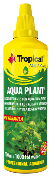 Aqua Plant