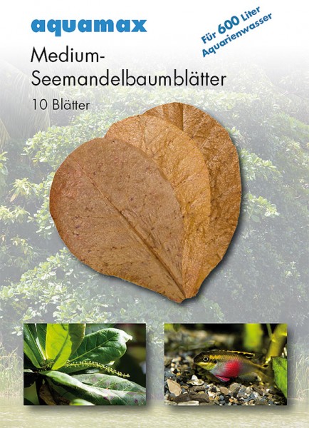 aquamax Seemandelbaumblätter